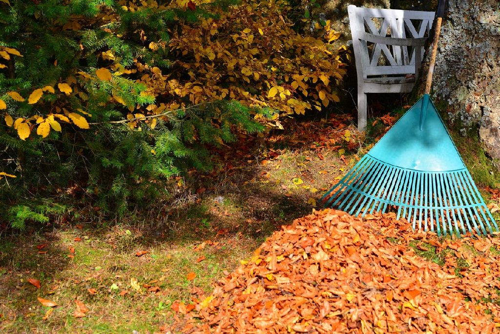 best leaf rake